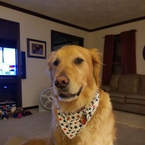 Meet your Posher, Carilee